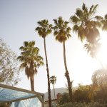 JC_Levis_Coachella__119