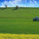 kultur tractor rapeseed ground yellow flowers agriculture farm manzara seeding pre