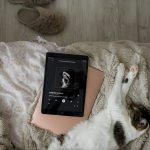 taylor swift cat laying top bed next electronic device dizustu tablet listening