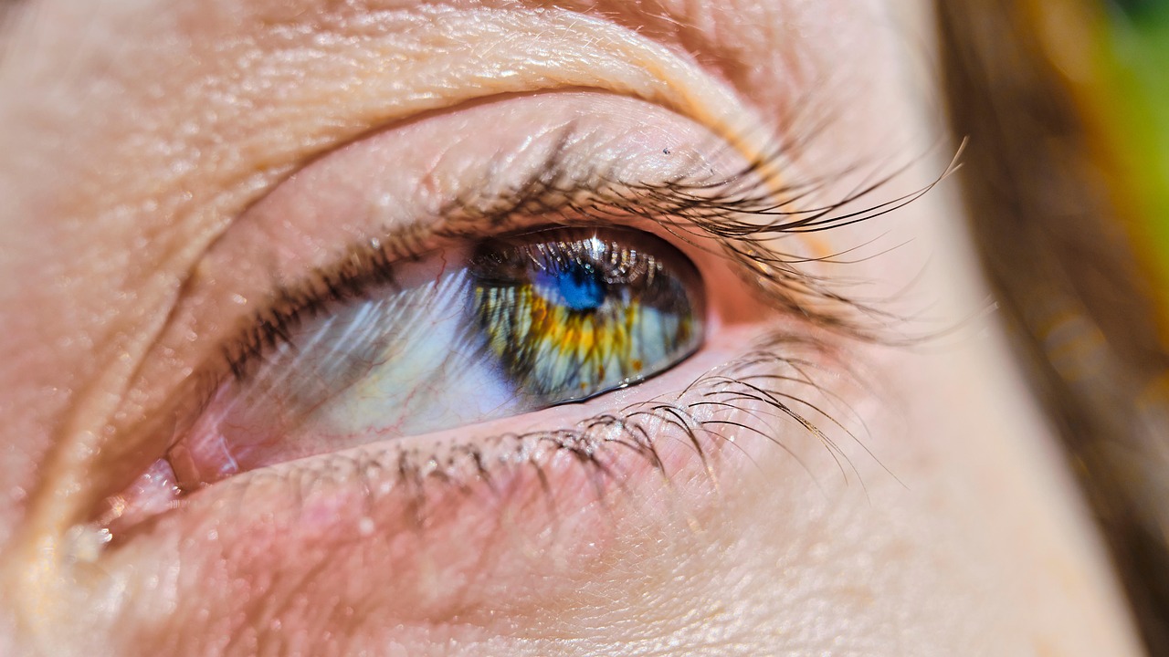 Retina