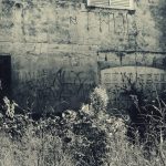 walking dead manzara place abandoned loneliness black white nature door bush tree
